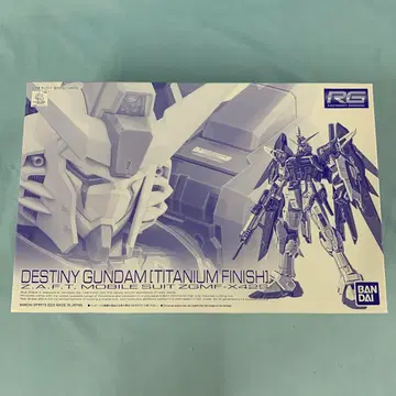 RG ZGMF-X42S 데스티니 건담 티타늄 피니쉬