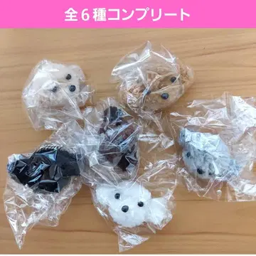 복슬복슬 토이푸들 헤어 클립 가챠 가챠가챠 풀컴프 브라운 블랙