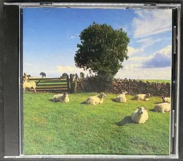 THE KLF / CHILL OUT / CD