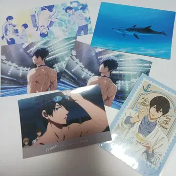 Free! 하루카 로손 엽서 세트 외 덤입니다