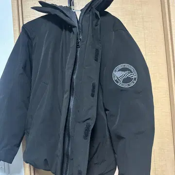 AVIREX 다운