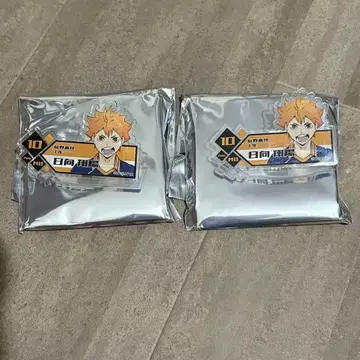 하이큐!! 히나타 쇼요