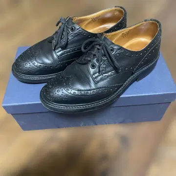 트리커스 BOURTON 버튼 블랙 6.5