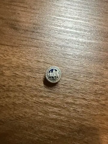 PANDORA 참 뉴욕 NY 한정판