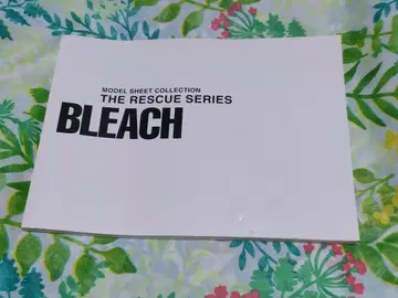 쿠로사키 이치고 BLEACH 소책자 설정 자료 아산이 렌지 쿄라쿠 슌스이