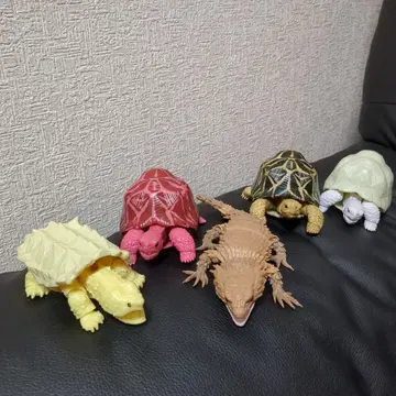 생물대도감 피규어 5체 세트