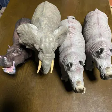 동물 4마리