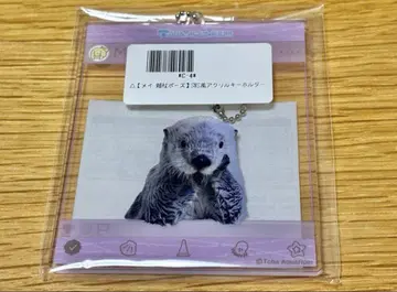 도바 수족관 카프 복권