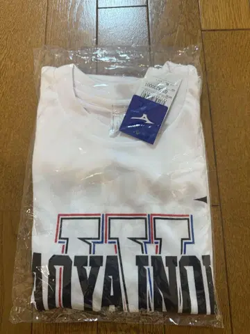 이노우에 나오야 타파레스