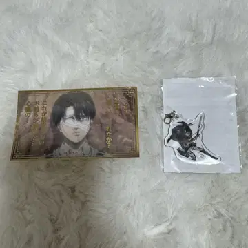 진격의 거인 기억으로의 진격 리바이 복권 B상 C상