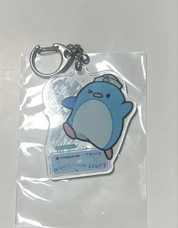 푸른상자 케이프 군 선샤인 한정판