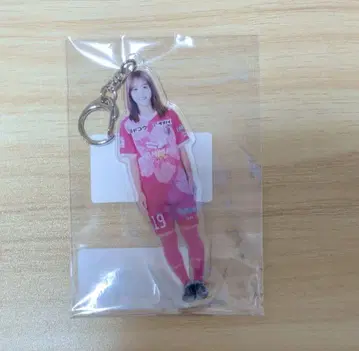 아라이 모에카 아크릴 키링