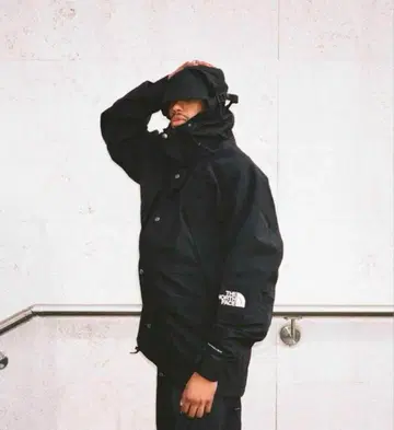 The North Face 1994 레트로 마운틴 라이트