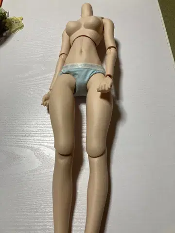 돌피드림 보크스 dds 바디