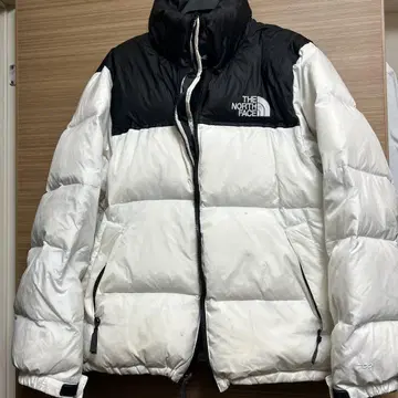 눕시 화이트