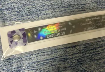 트위스테 브레이징 주얼 회장 한정판 참 DAY3