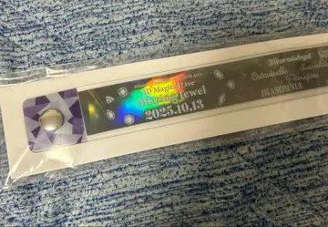 트위스테 브레이징 주얼 회장 한정판 참 DAY3