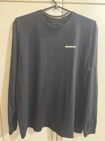 파타고니아 롱 T XL
