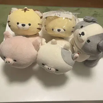 모후모후 프렌즈 묶음 판매