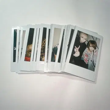 LEZARD 라이무 폴라로이드 세트