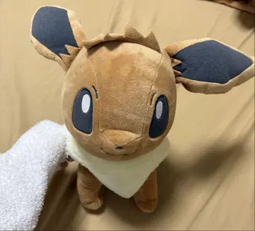 포켓몬스터 포켓몬 Pokemon 이브이 봉제 인형