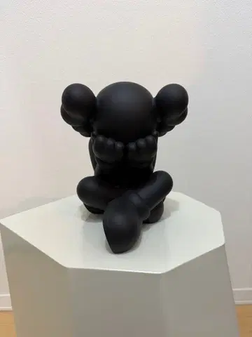 kaws 컴패니언 메디콤 토이 피규어
