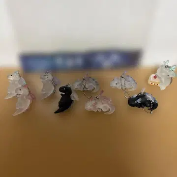 쁘띠 드래곤 컴플리트