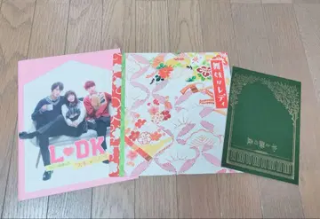 카미시라이시 모네 영화 팜플렛 3종 세트