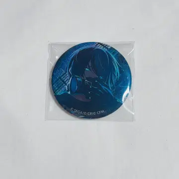 프로세카 아오야기 겨울 그리캔 22B
