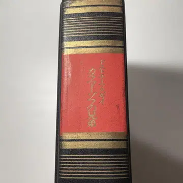 카라마조프의 형제 요네카와 마사오 역