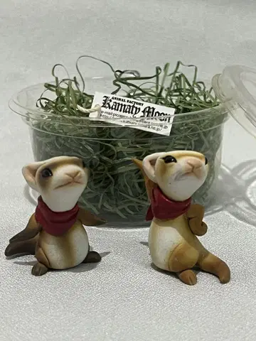 KAMATY MOON 카마다 코지 페럿 동상