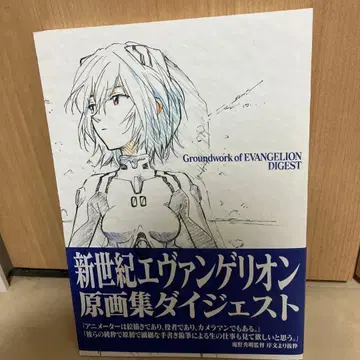 신세기 에반게리온 원화집 다이제스트