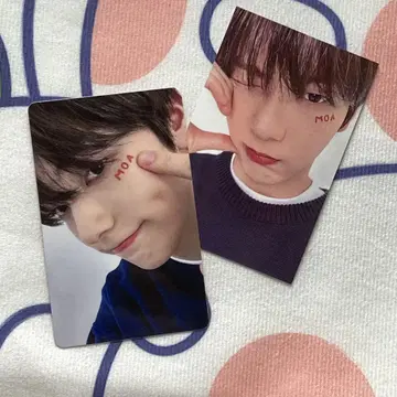 일본 TXT 수빈 MOA ZONE FC 팬미팅 트레이딩 카드 2장