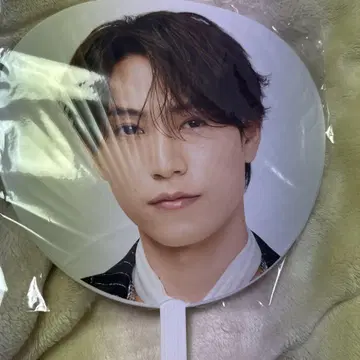 timelesz 하시모토 쇼세이 부채