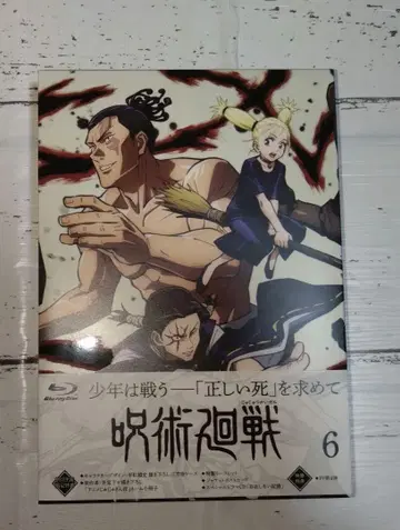 주술회전 Vol.6