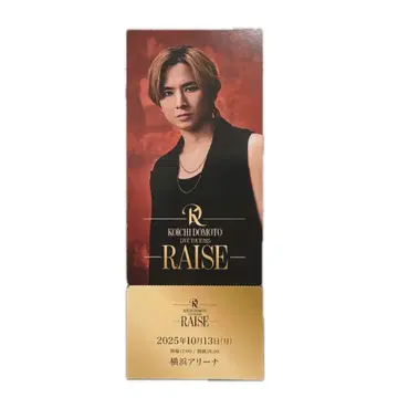KOICHI DOMOTO TOUR 2025 RAISE 도모토 코이치