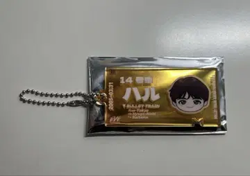 초특급 EVE 하루 랜덤 티켓 키링