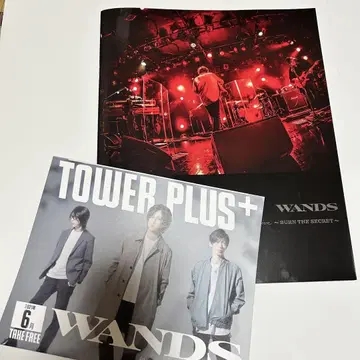 WANDS Screaming Live 팜플렛