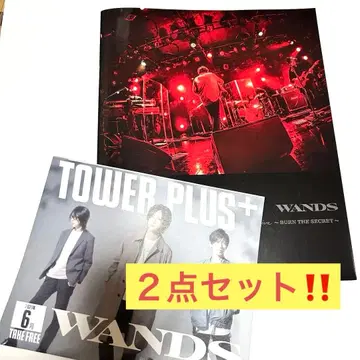 WANDS Screaming Live 팜플렛 라이브 투어 원스