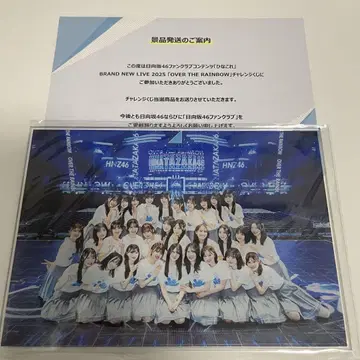 히나타자카46 히나코레 챌린지 복권 B상 아크릴 스탠드