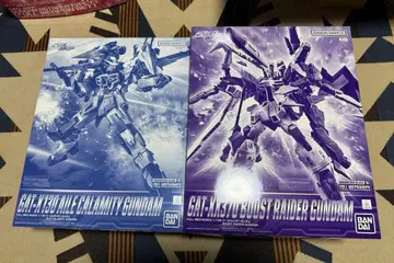 에일 칼라미티 부스트 레이더 FM 2종 세트 풀 메카닉스