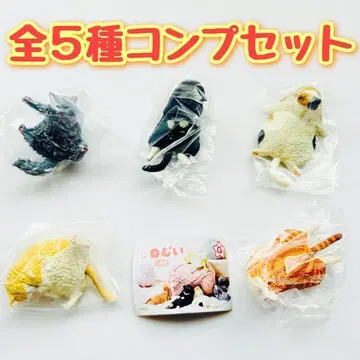 A-50 컴프 졸려 졸려 아직 졸려 두 번 잠 5종 고양이 고양이 고양이