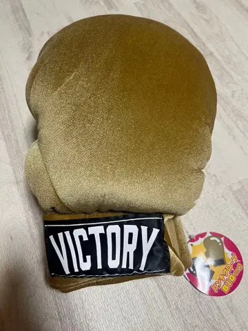 VICTORY 골드 복싱 그로브 오른손용