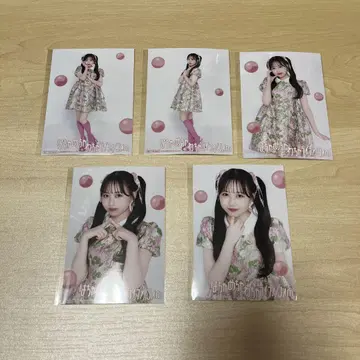 후르츠 지퍼 타워 레코드 마츠모토 카렌 브로마이드 5장 세트