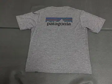patagonia 티셔츠
