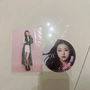 원영 굿즈 폴라로이드 IVE IZ*ONE
