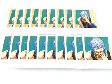 파라라이 트레사진 SURVIVE 야토노가미 카와타