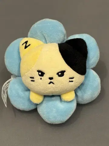 zb1 zeroni PLUSH BAND 팝업 리키 리니니