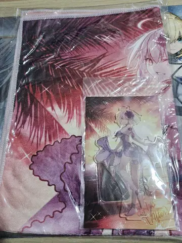 FGO 마시마사키 잔 다르크 알타 해변의 황혼 세트