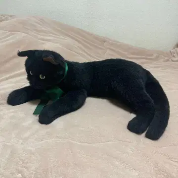 사계절 오리지널 봉제 인형 검은 고양이 중고품 누워있는 포즈 중고품